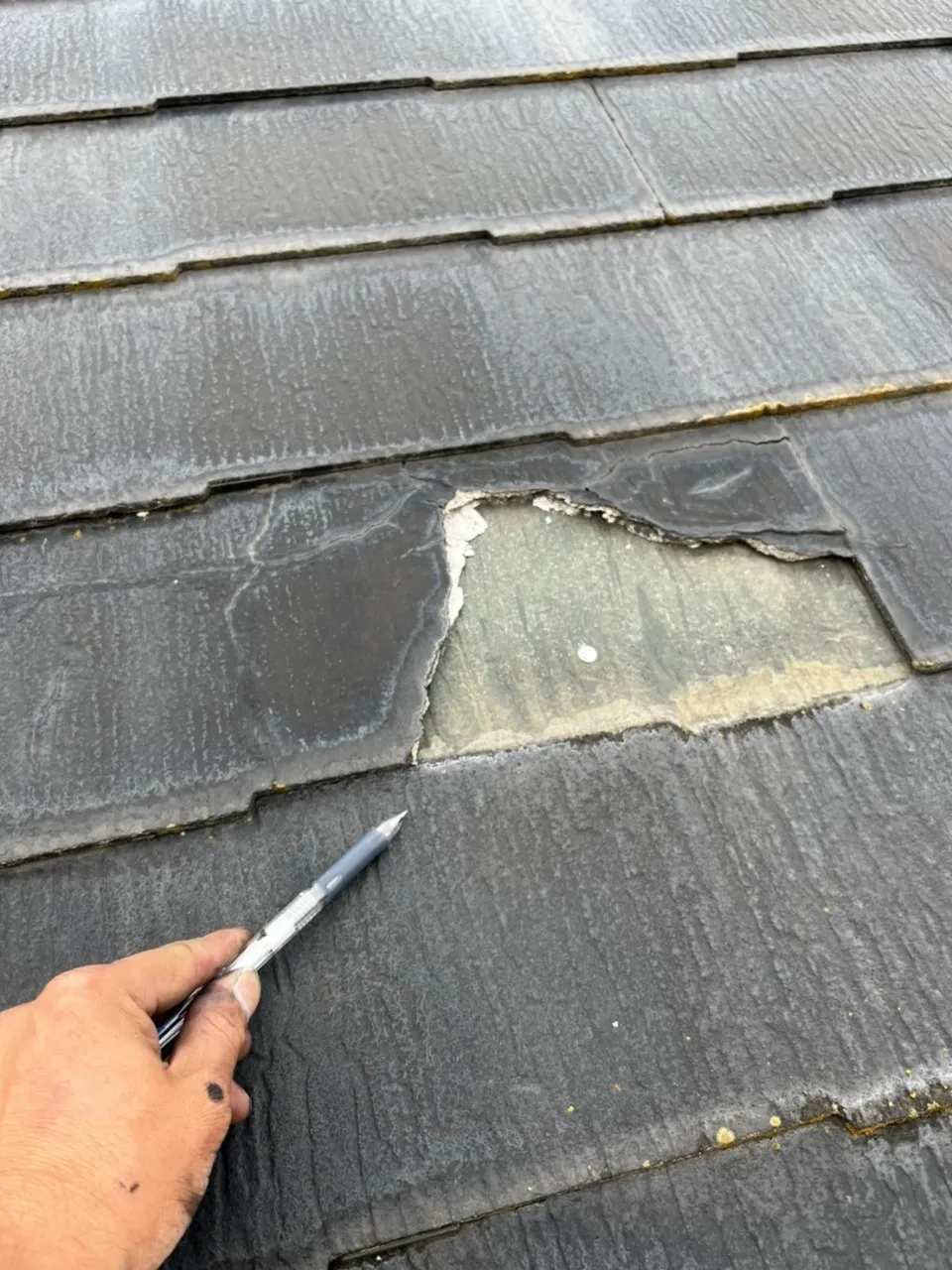 よく見られる屋根の劣化症状とは？屋根の調査方法と合わせてを詳しく解説します！_6